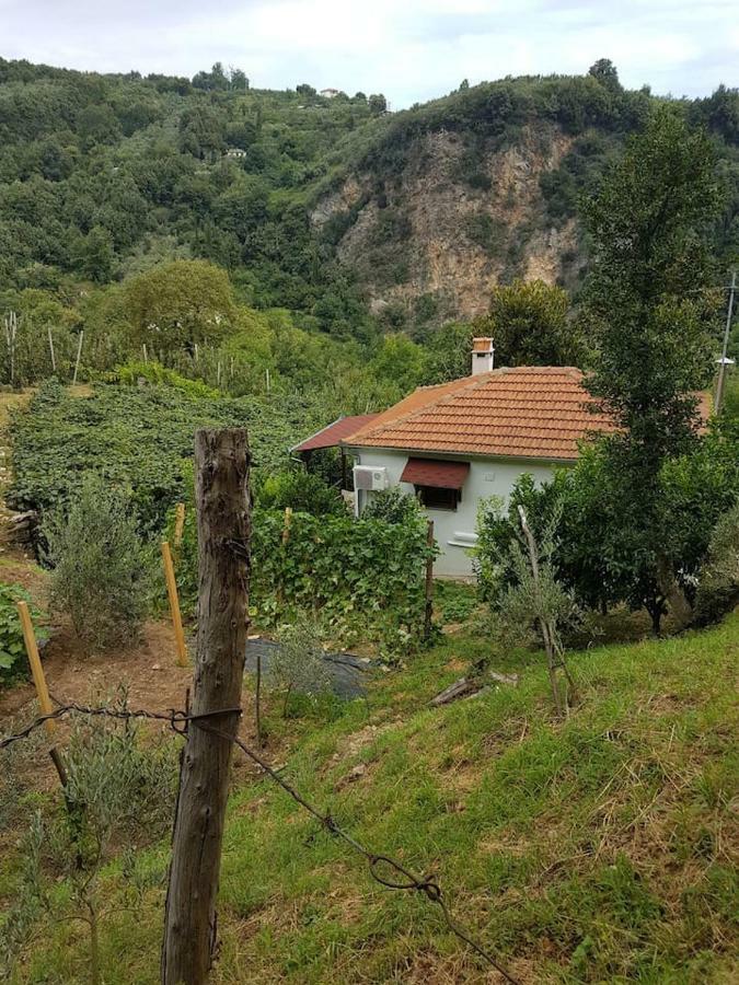Holiday Home Dionysis Хорефто Екстер'єр фото